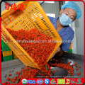 Las bayas de goji orgánicas crudas secadas del comerciante de las bayas de Goji joe donde comprar las bayas de goji orgánicas